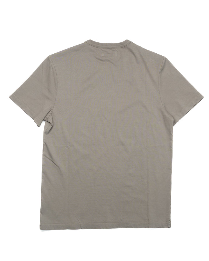 Organic Cotton Tee in Sage #1529