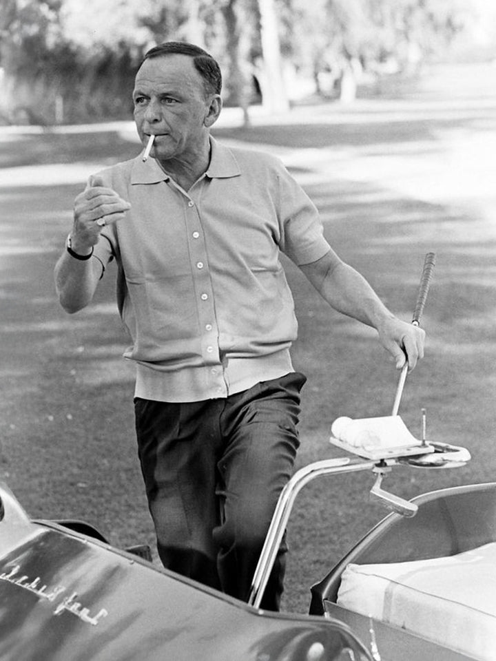 The Voice Polo Shirt in Green Mako Cotton