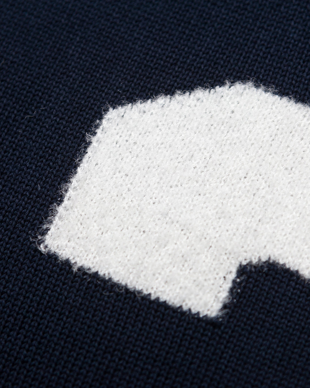 T Crown Shirt in Navy