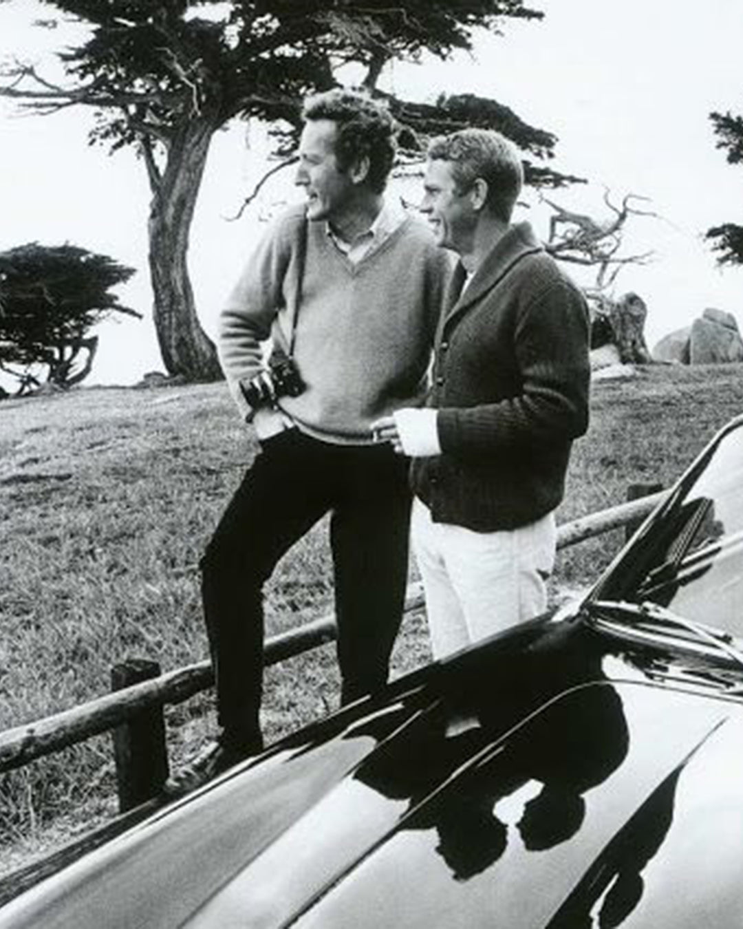 Shawl Cardigan in Navy