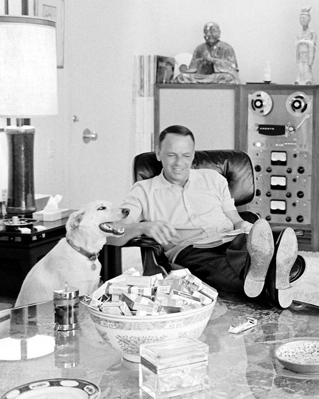 The Voice Polo Shirt in Navy Mako Cotton