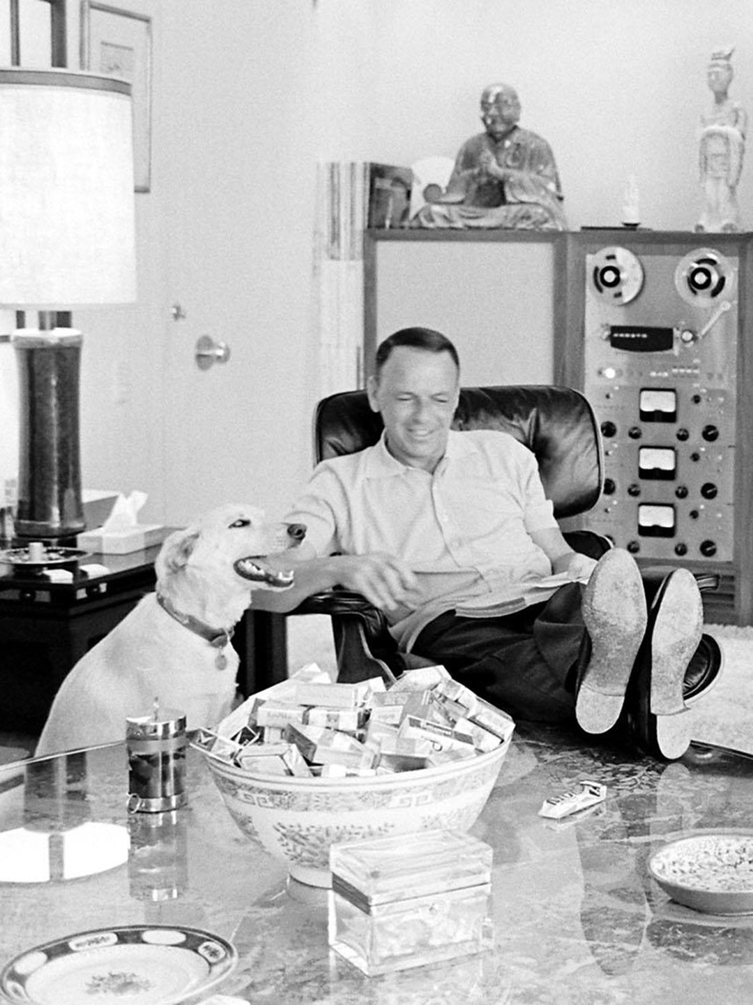 The Voice Polo Shirt in Green Mako Cotton