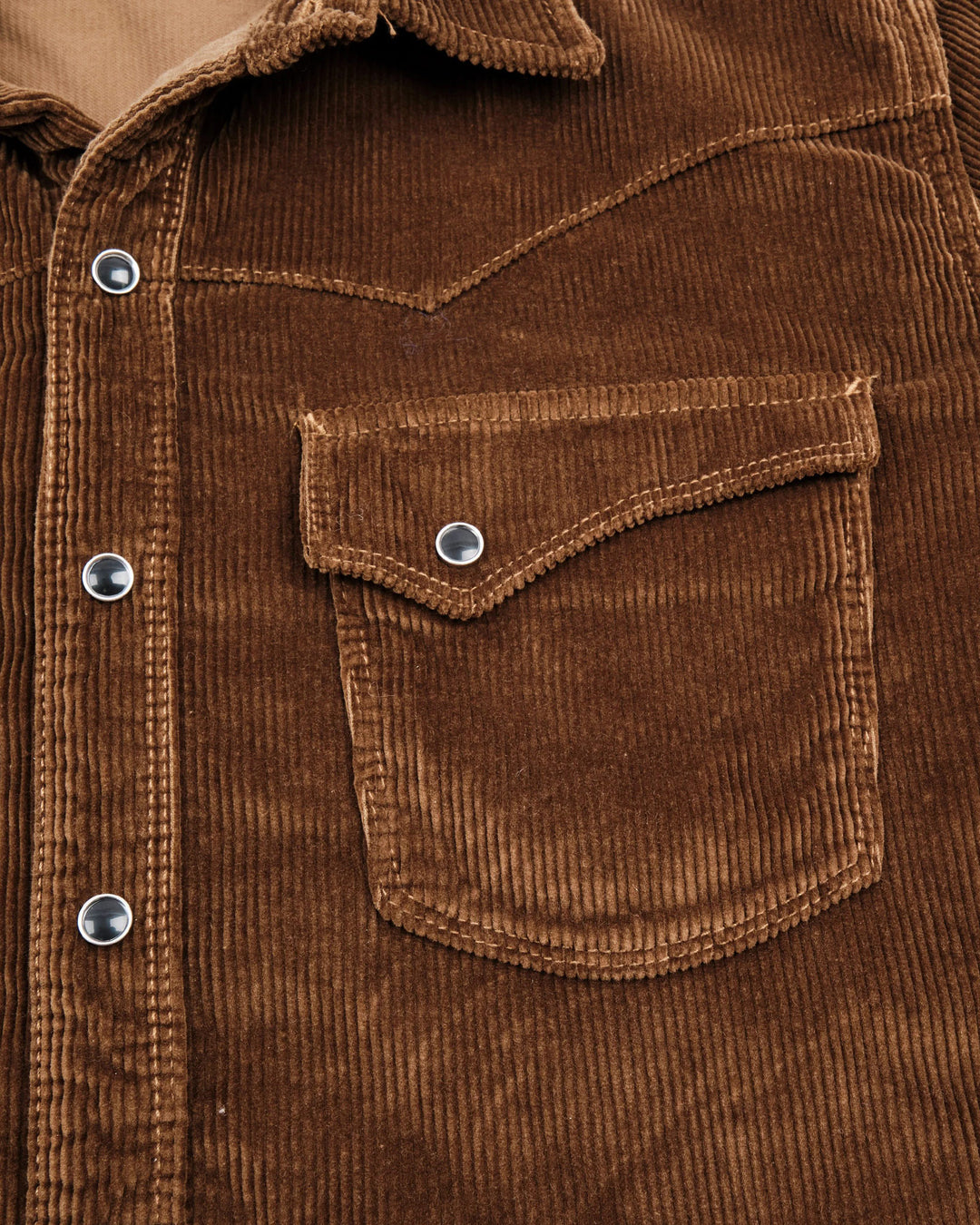 Calico in Gold Corduroy