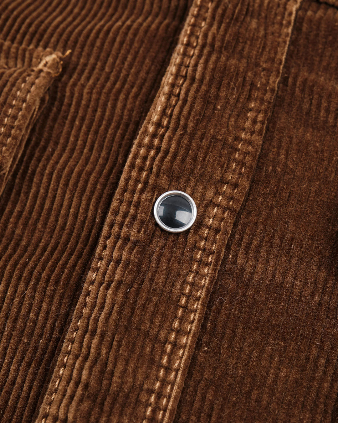 Calico in Gold Corduroy